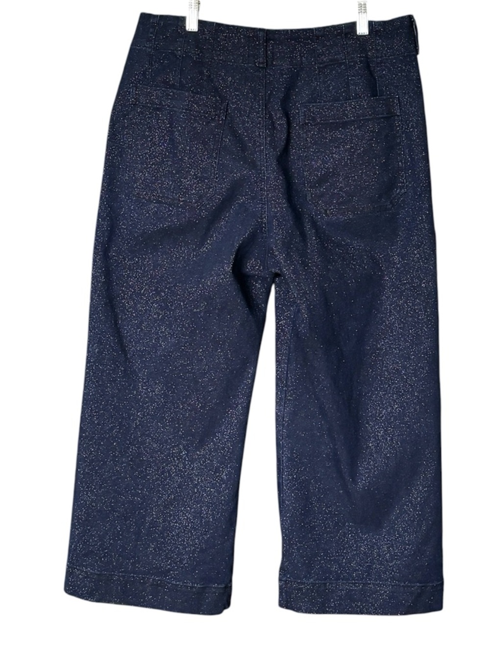 MAEVE by Anthropologie The Colette Sparkle Crop Wide-Leg Pants 31P Blue Shimmer - Picture 6 of 11